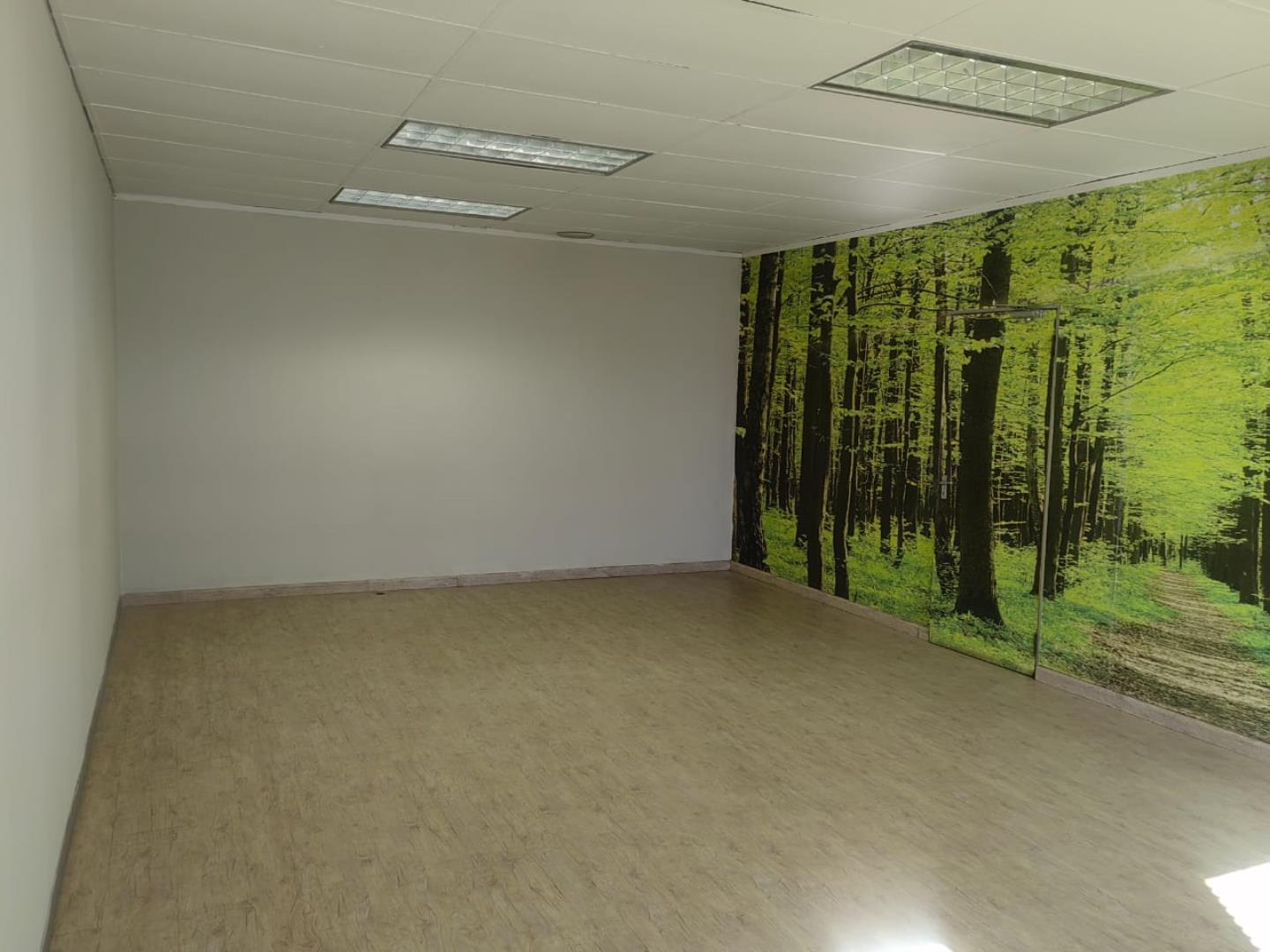753072_office17.jpg