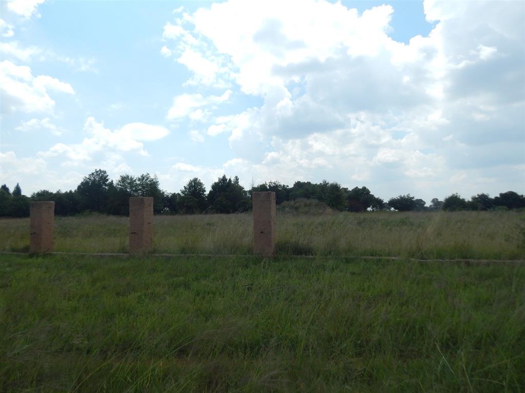 41259_DSCN4314.JPG