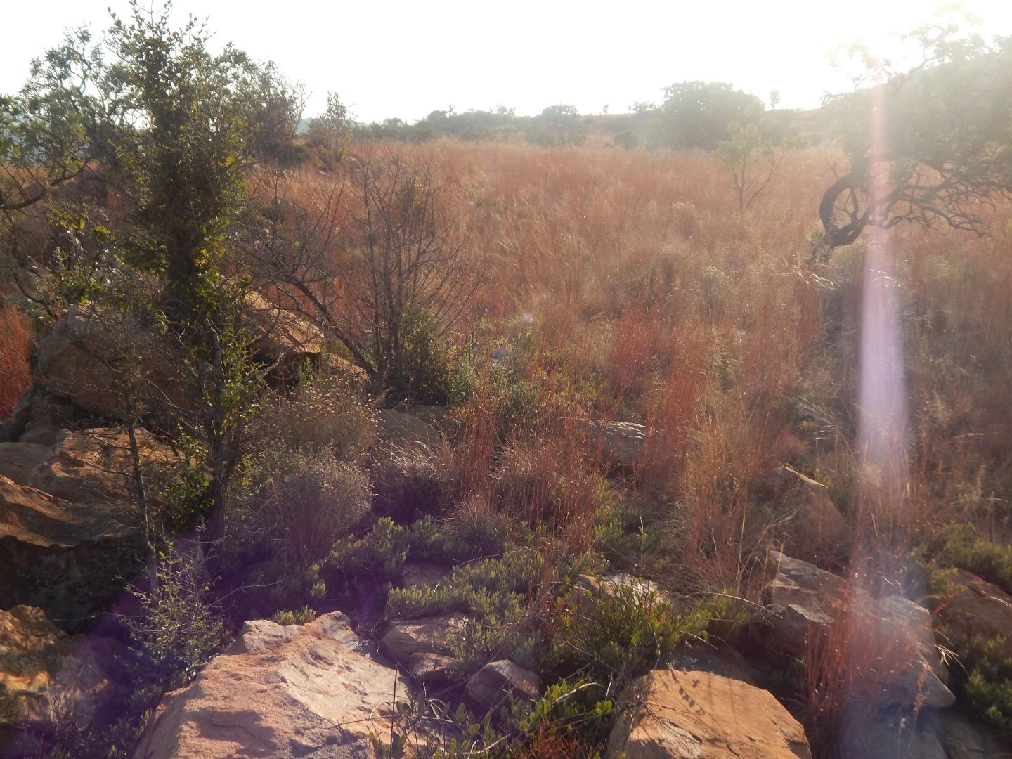 Vacant Land for Sale - Gauteng