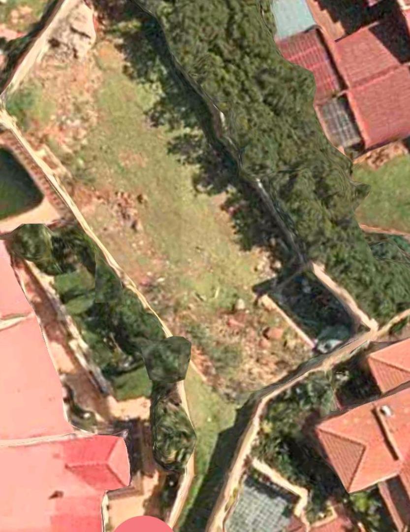 705061_6881222.jpg