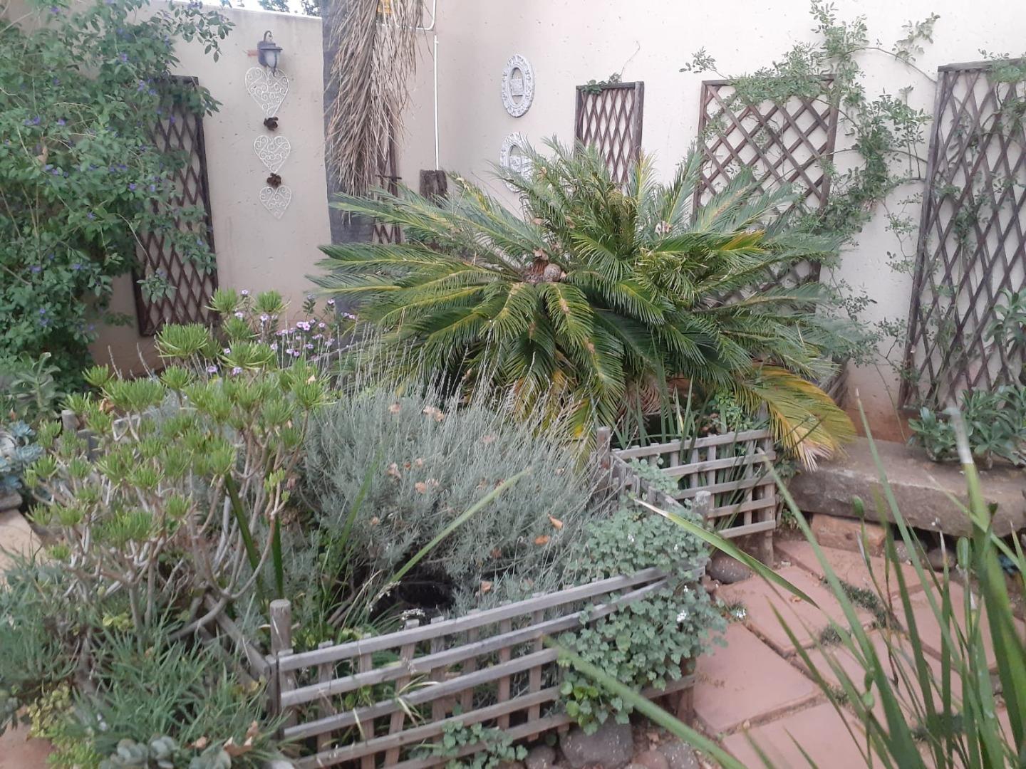 706897_Garden_2.jpg