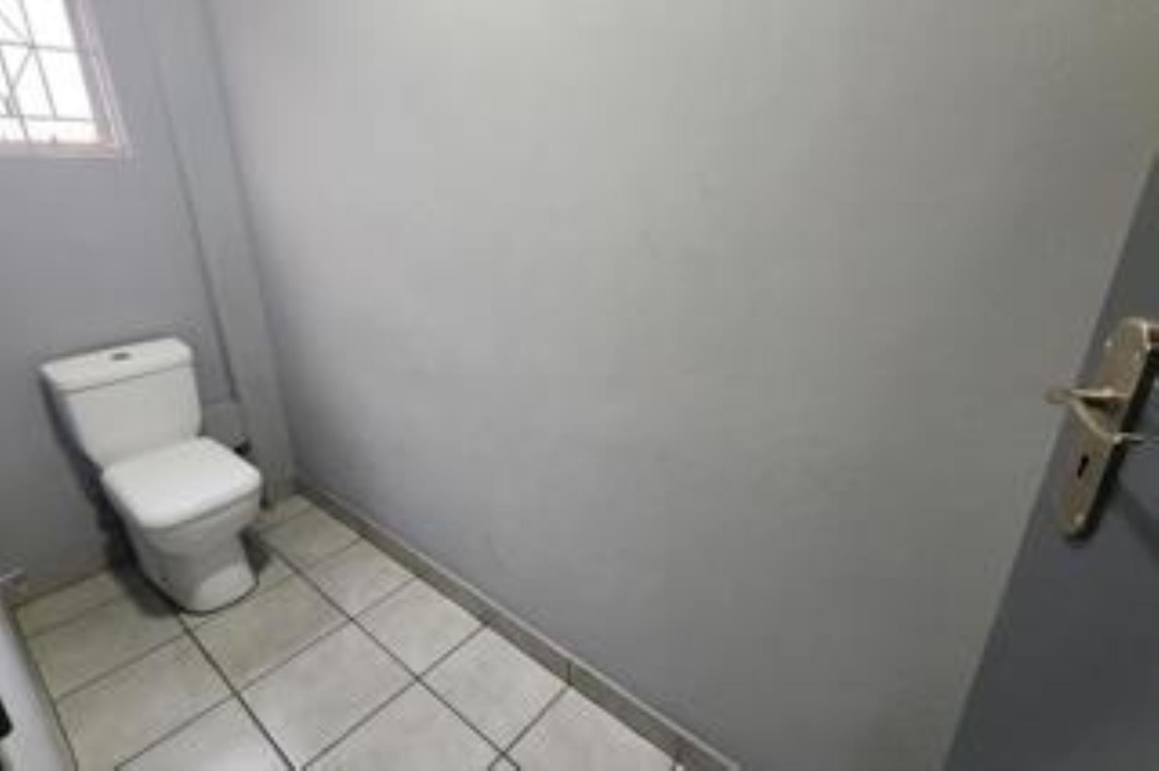729400_b19.jpg