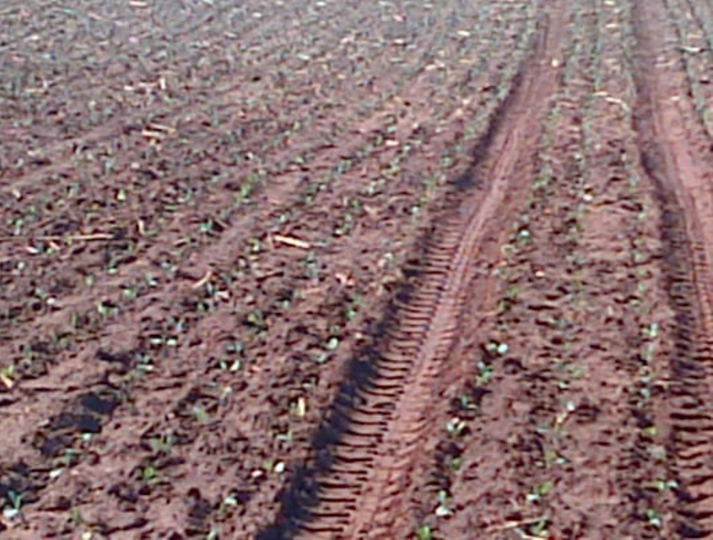 731926_IMG-20250207-WA0017-1.jpg