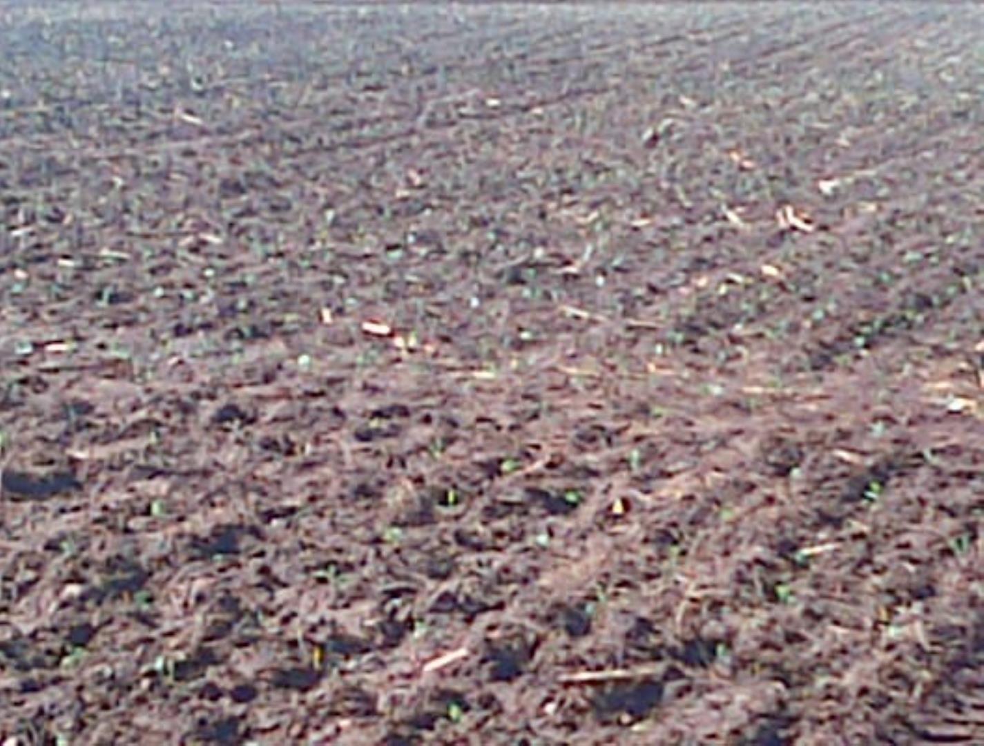 731926_IMG-20250207-WA0018-1.jpg