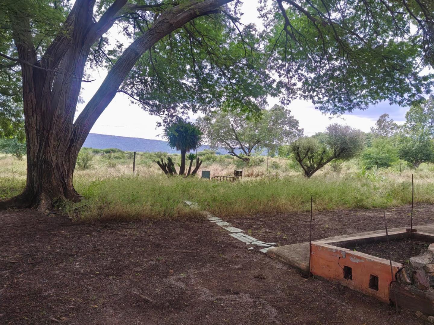 740090_9.jpg